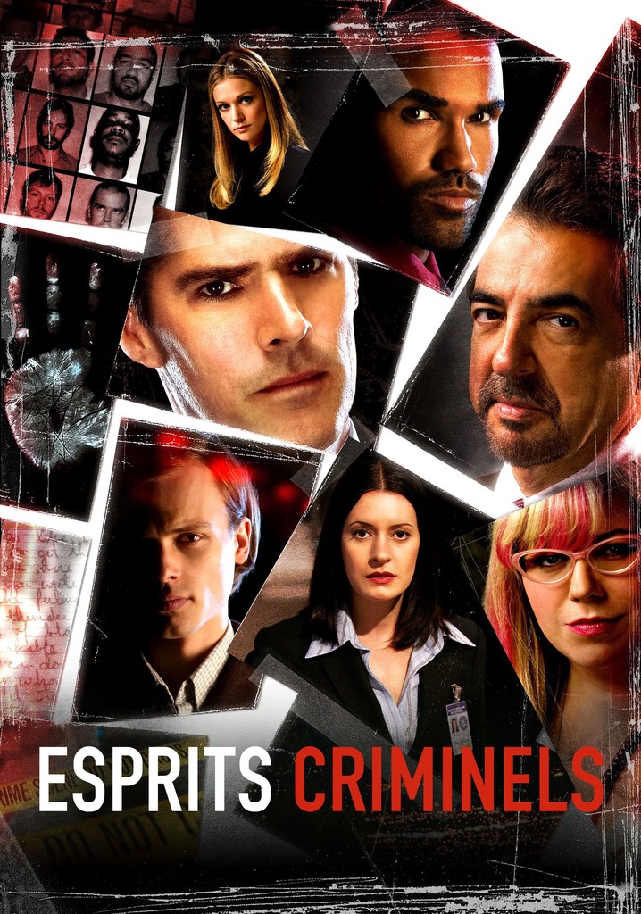 Regarder la série Esprits criminels streaming